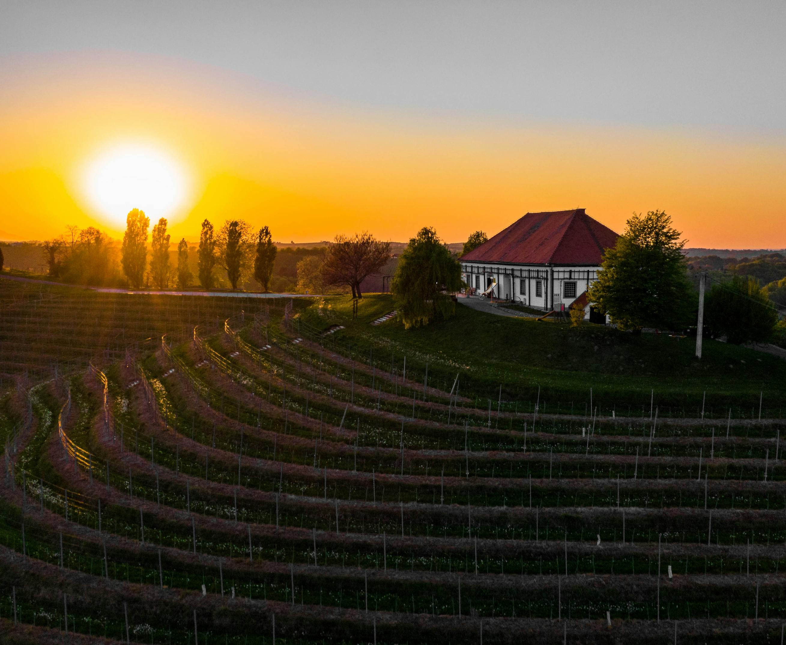 Vinoteka Puklavec Family Wines